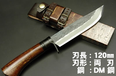 ںξDM120ŴĥХҥȡХ