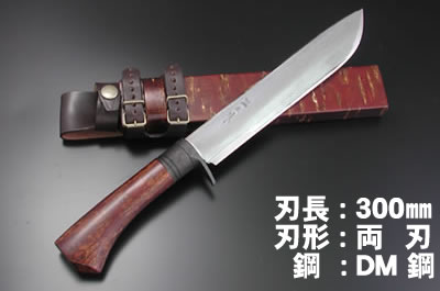 ں ξ DM152 300 