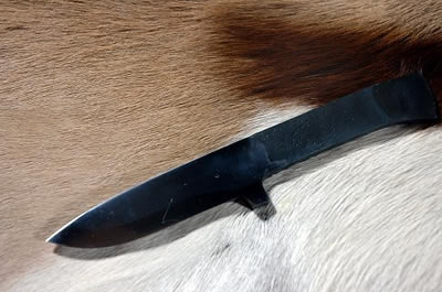 ����/�����ں����ξ�����Ω�Ļ楹���ѡ��� �ҿϡ����ȥ졼�ȷ�