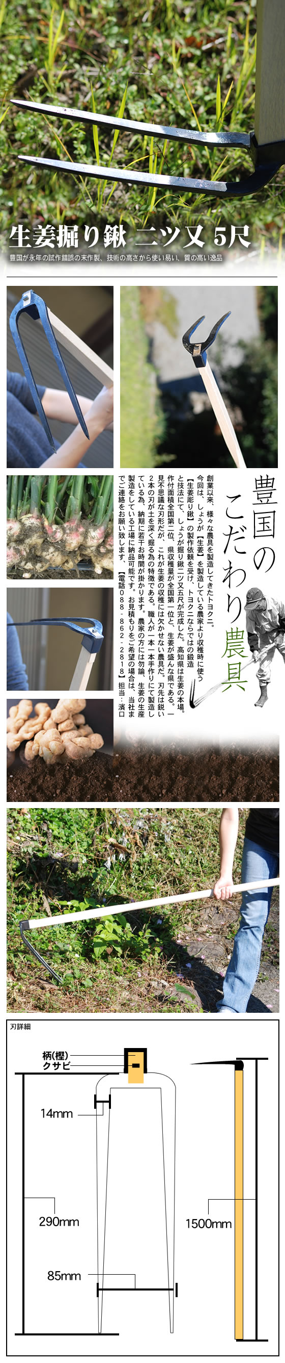【トヨクニ・農具】生姜掘り鍬 二ツ又5尺/通販　販売