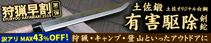 �������2019 ������