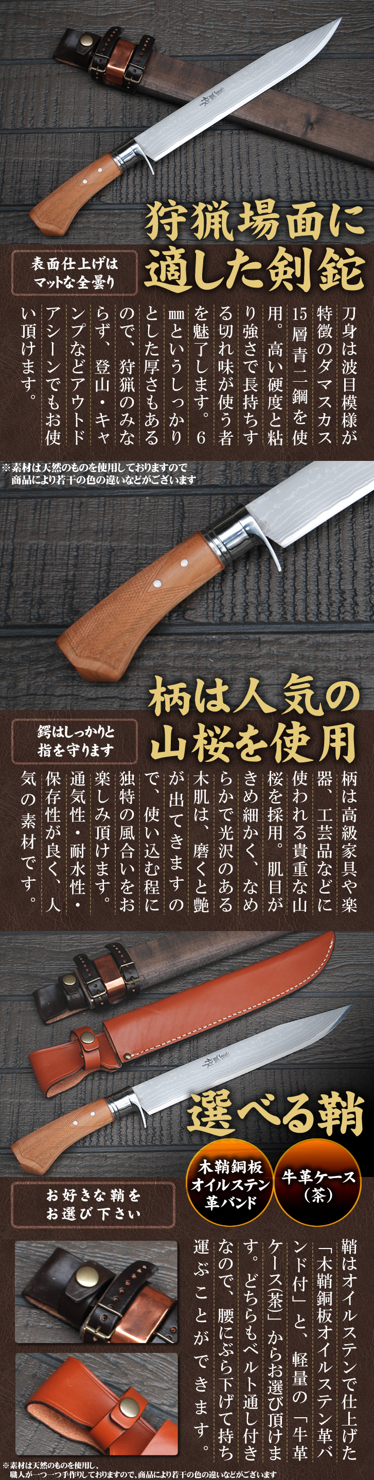 �����2020 �����